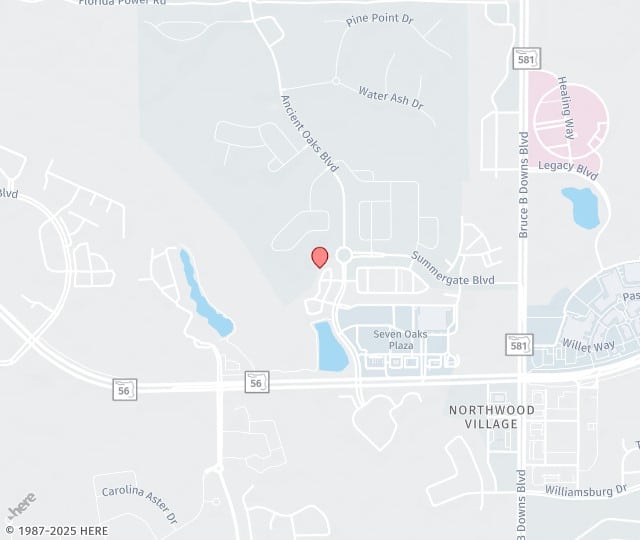 Location Map: 2020 Ashley Oaks Circle, STE 102 Wesley Chapel, Florida 33544
